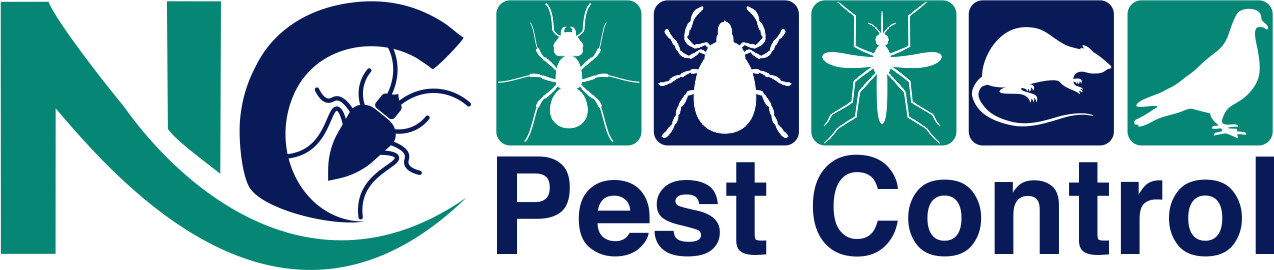 Logo 1 png